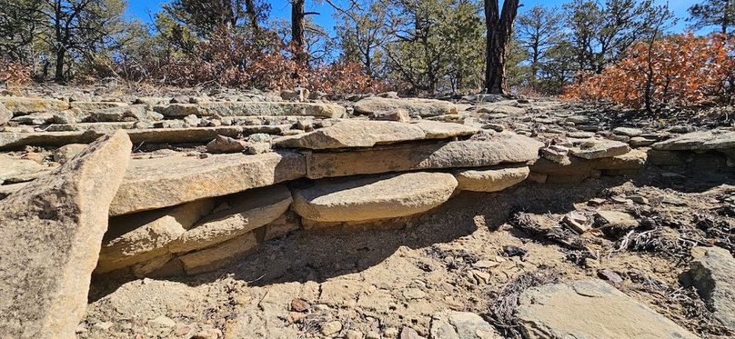 20240220_110854 - Copy