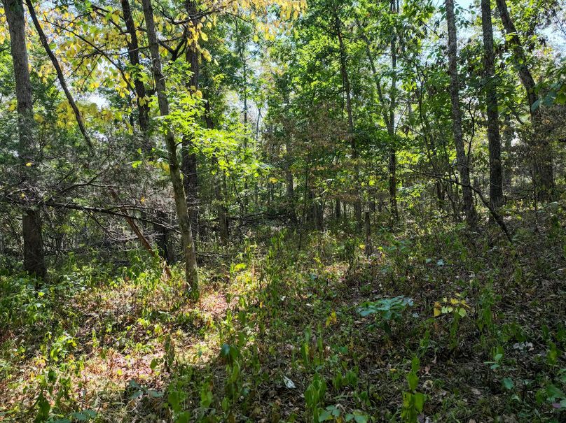 DJI_20250904124743_0590_D