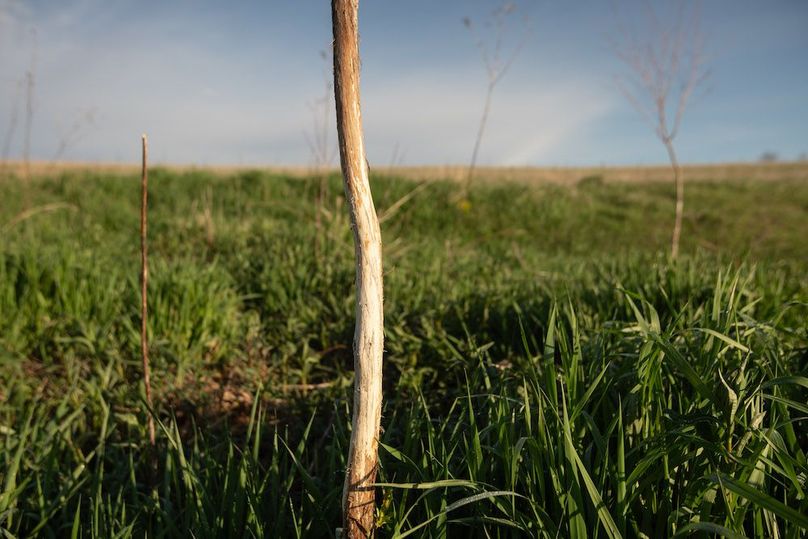 MONTGOMERY CO IA. 156.78_40