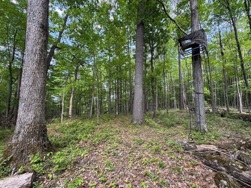 Pleasants, WV 168.59 AC Superior, Swank, Young-046