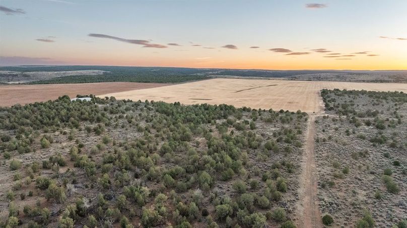 DJI_0394_1