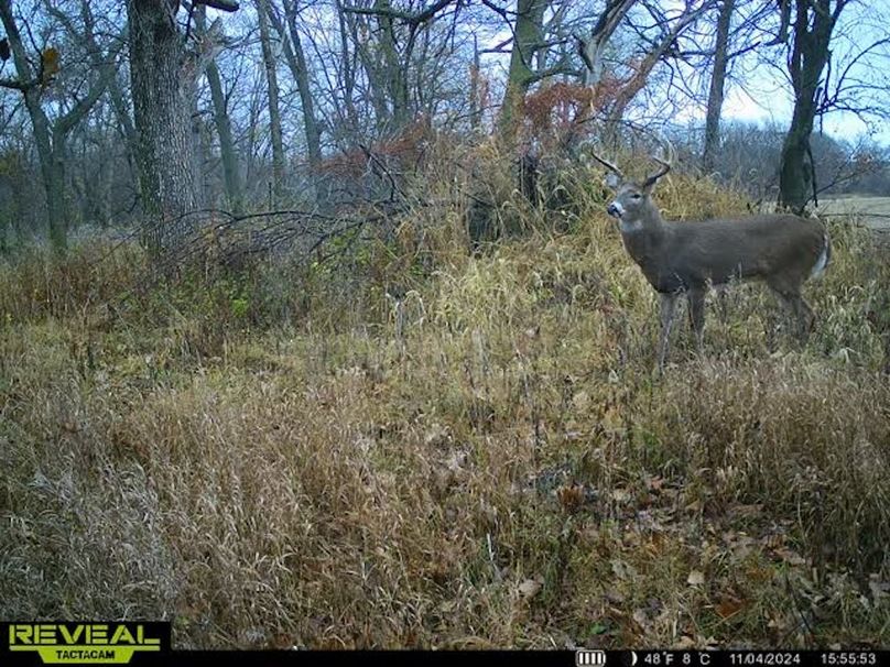 865509050429038-100-2-11042024155604-W1007334