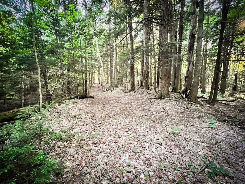 Oswego_25.66_Pettit_Photos_35