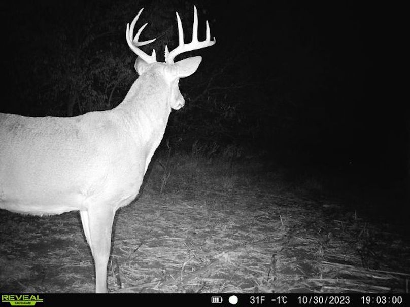 868032067149447-1-3-10302023190300-V-W1003416