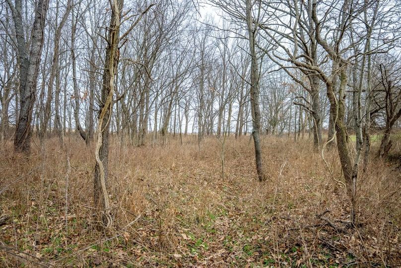 Copy of DSC00725 Large