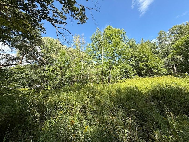 Ontario_2.7_Proseus Photo 15