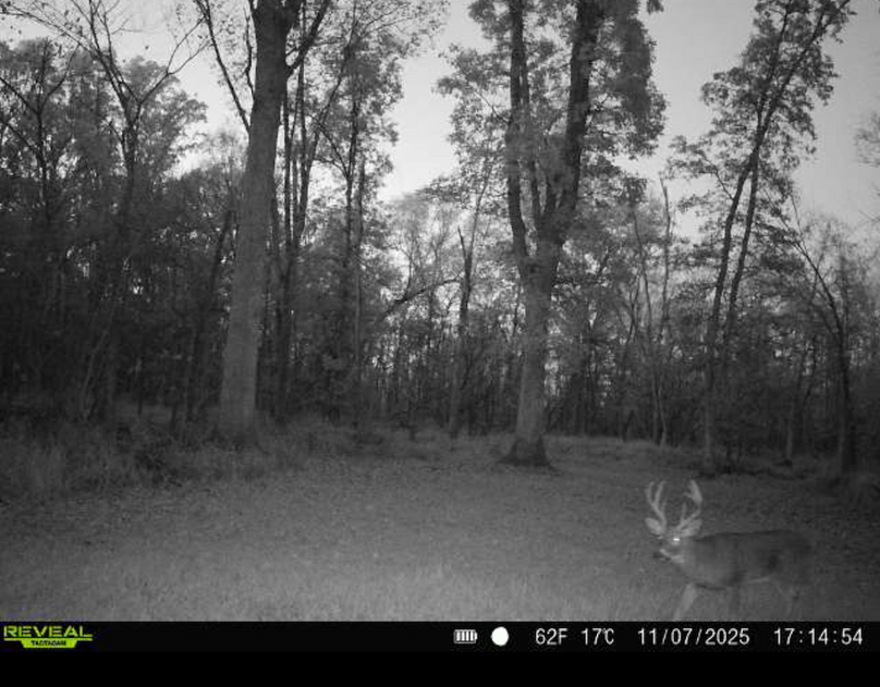 Screenshot 2026-04-09 at 12.53.36 PM