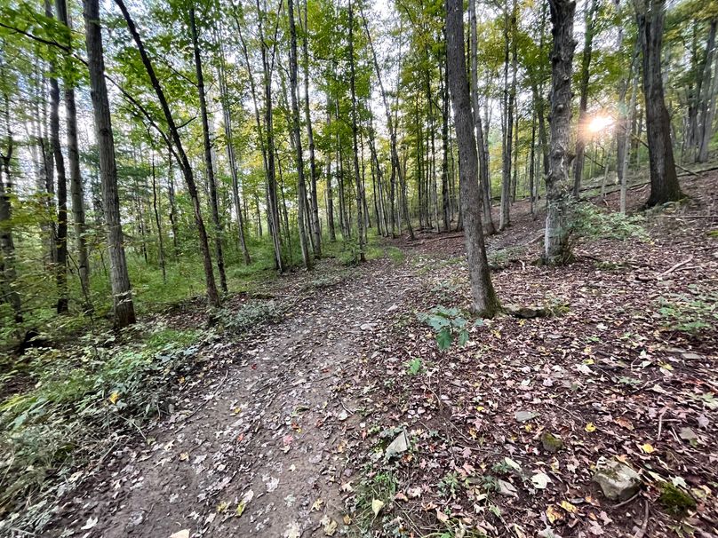 Tioga_20_Peters Photo 4