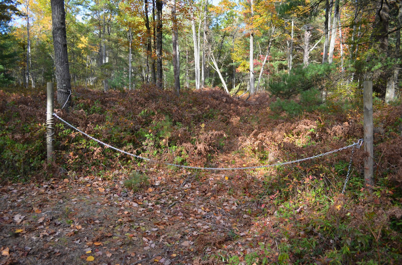 Screenshot 2025-11-14 at 11.35.51 AM