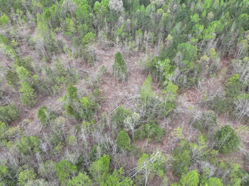 DJI_20260317095220_0589_D