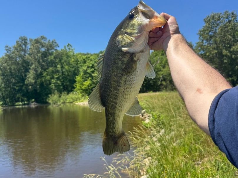 E25B49D8-989F-4520-BA01-D3D216E46E60