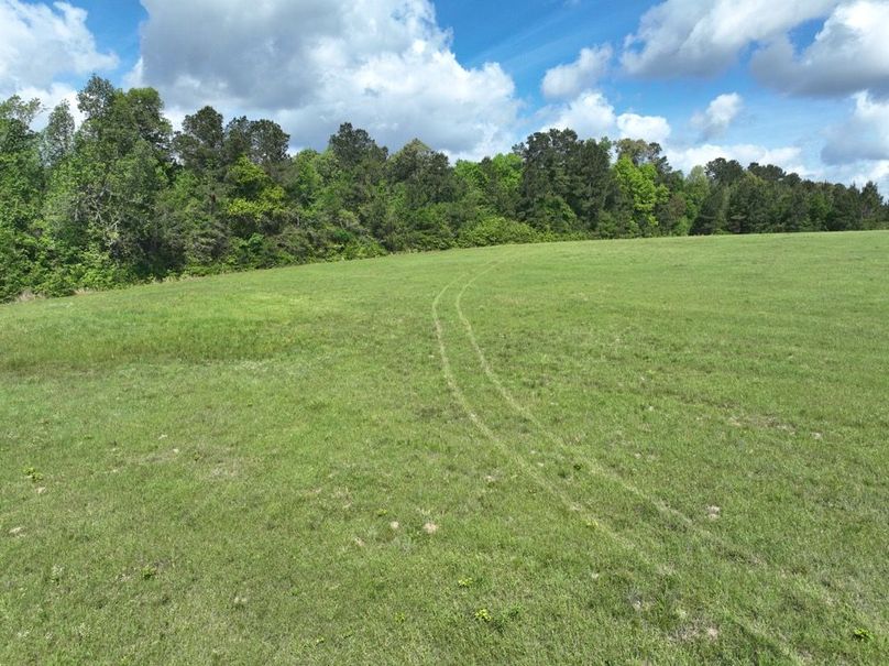 dji_fly_20260415_114416_421_1776344975297_photo