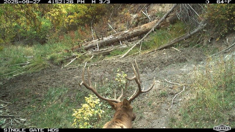 79F772DC-7091-4B1A-8672-CFDDFC7AA9F1