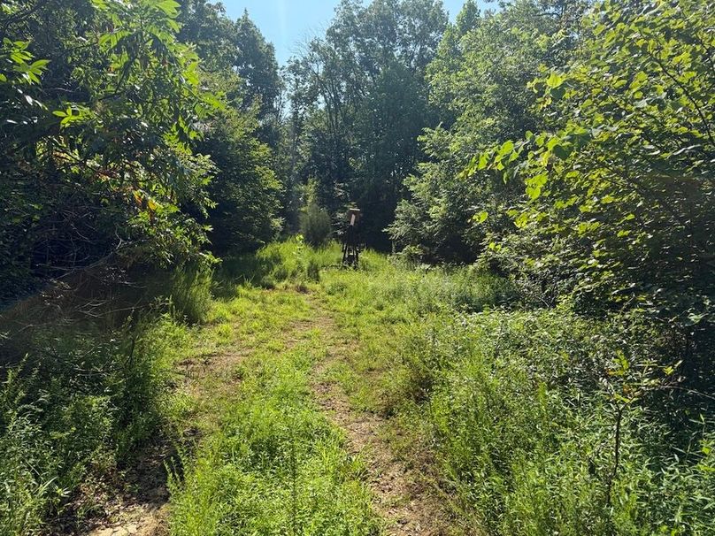 Adair 24.27 Hartsog 9 