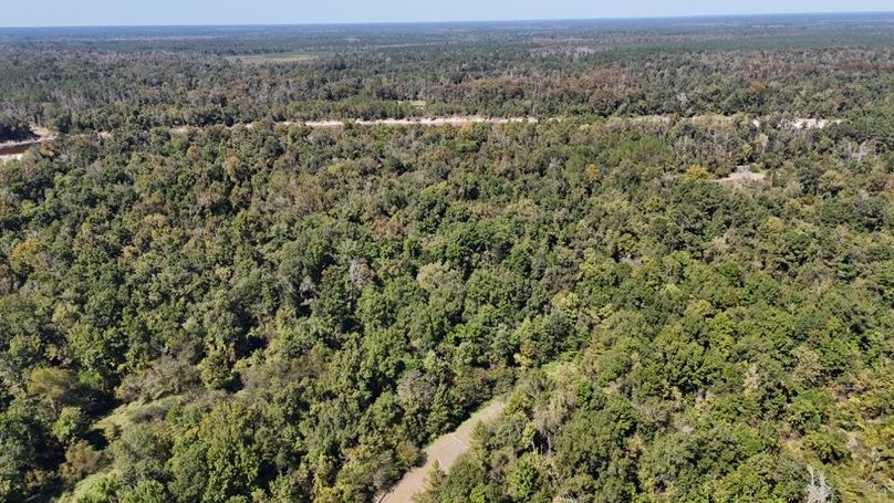 dji_fly_20251015_010852_0059_1760476859910_photo