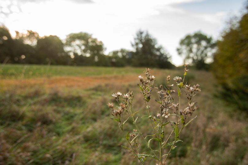 FREMONT CO. IA 158.32_52