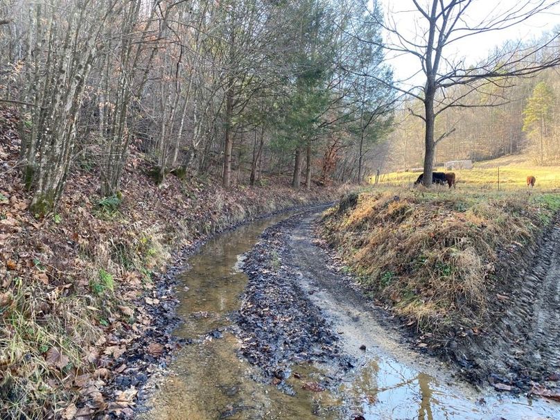 015 access leading in running in the creek