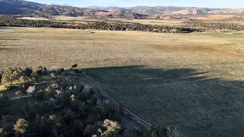 DJI_20250411074148_0073_D