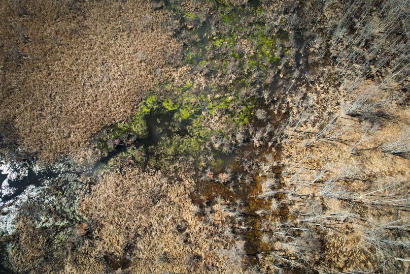 Oswego_165.52_Lashomb_Photos_27