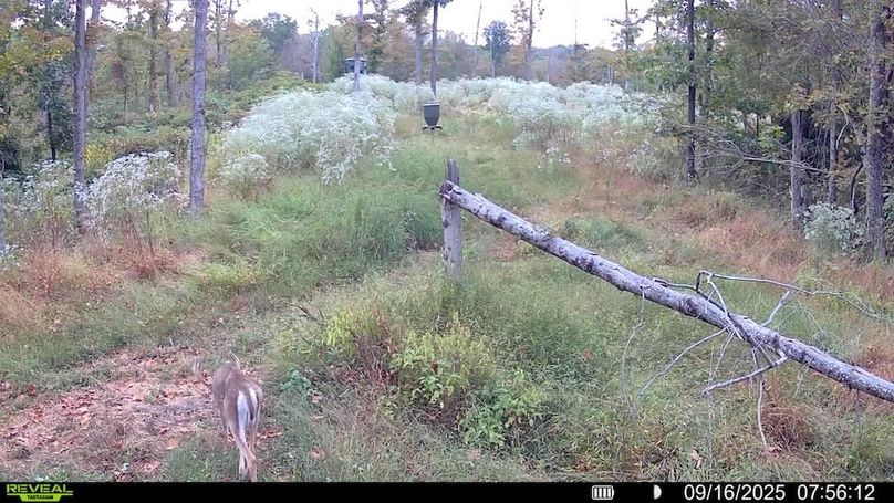 016578004709009-74-4-09162025075612-SYFW00856