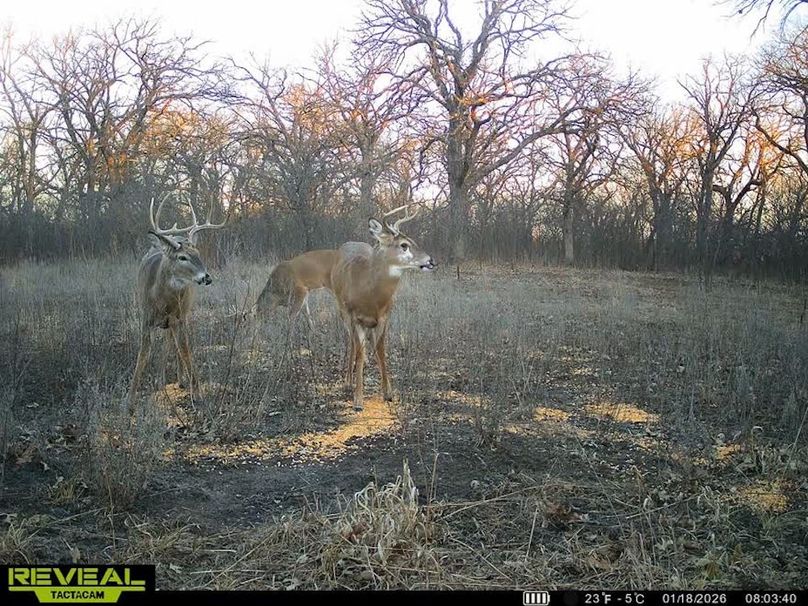 860322064077966-90-4-01182026080358-V-W1010401