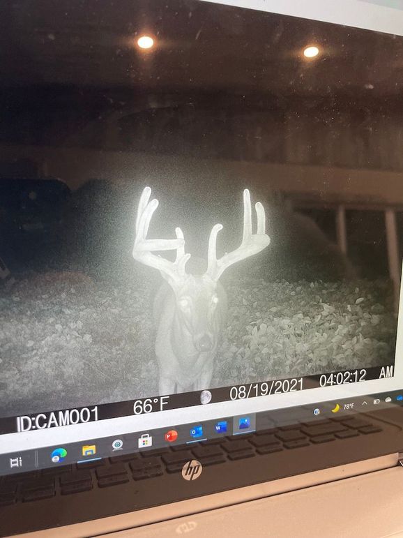 65163636612__54531BC4-D361-43B5-B8F5-23329FD0CC19