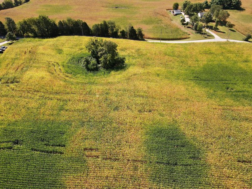 dji_fly_20230913_114208_454_1694619743219_photo