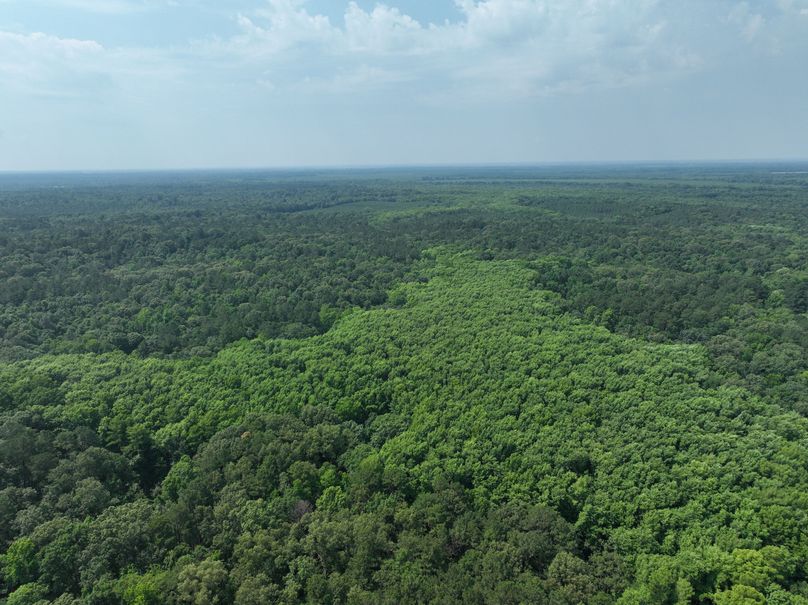 dji_fly_20230530_111350_126_1685483450725_photo