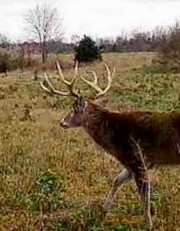 860516060742974-60-4-12012024145118-W1002405