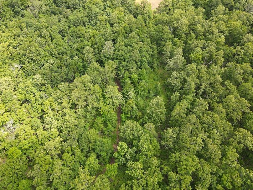 DJI_0390