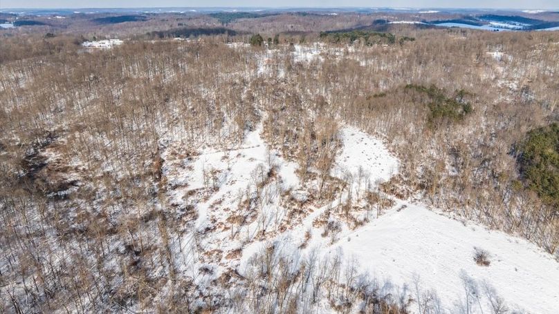 11-z 18408 Brushy006