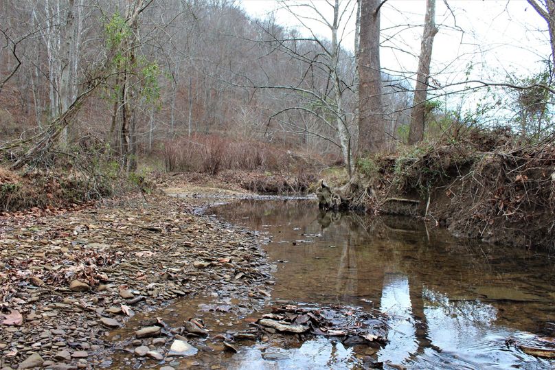 008 Clear Fork creek along the south boundary