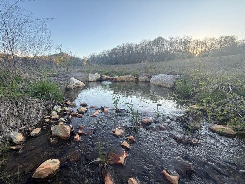 018 another cool view of the main stream in the east area of the property