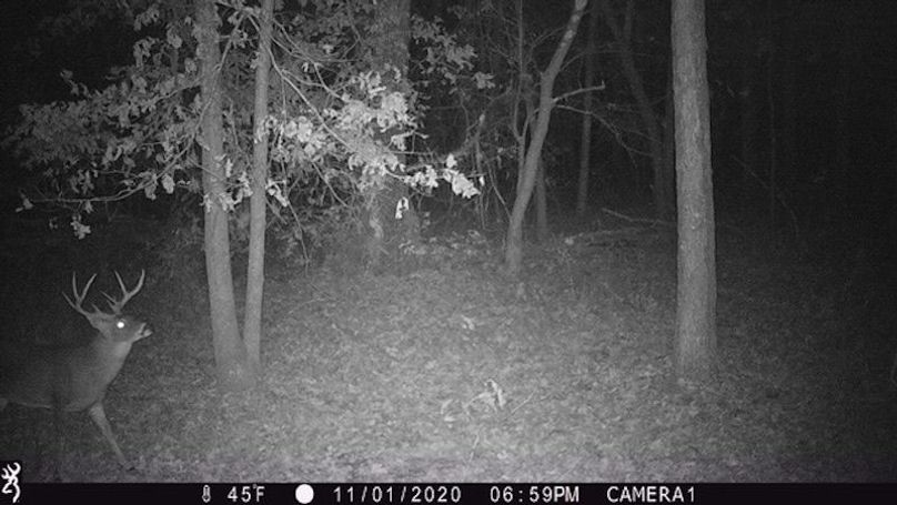 Buck 114 2