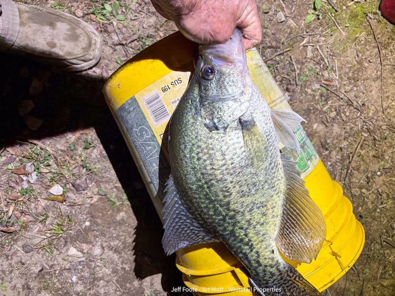 Holmes County - 108 - Rodriguez-33