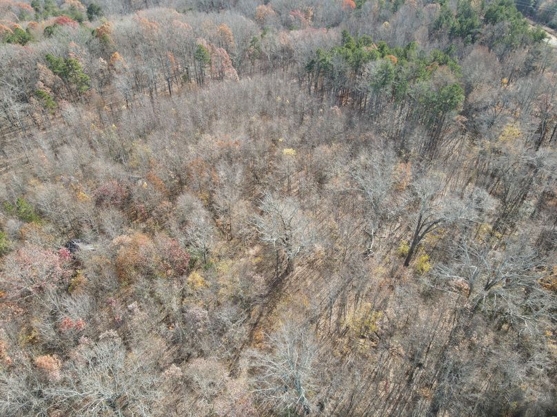 DJI_0211