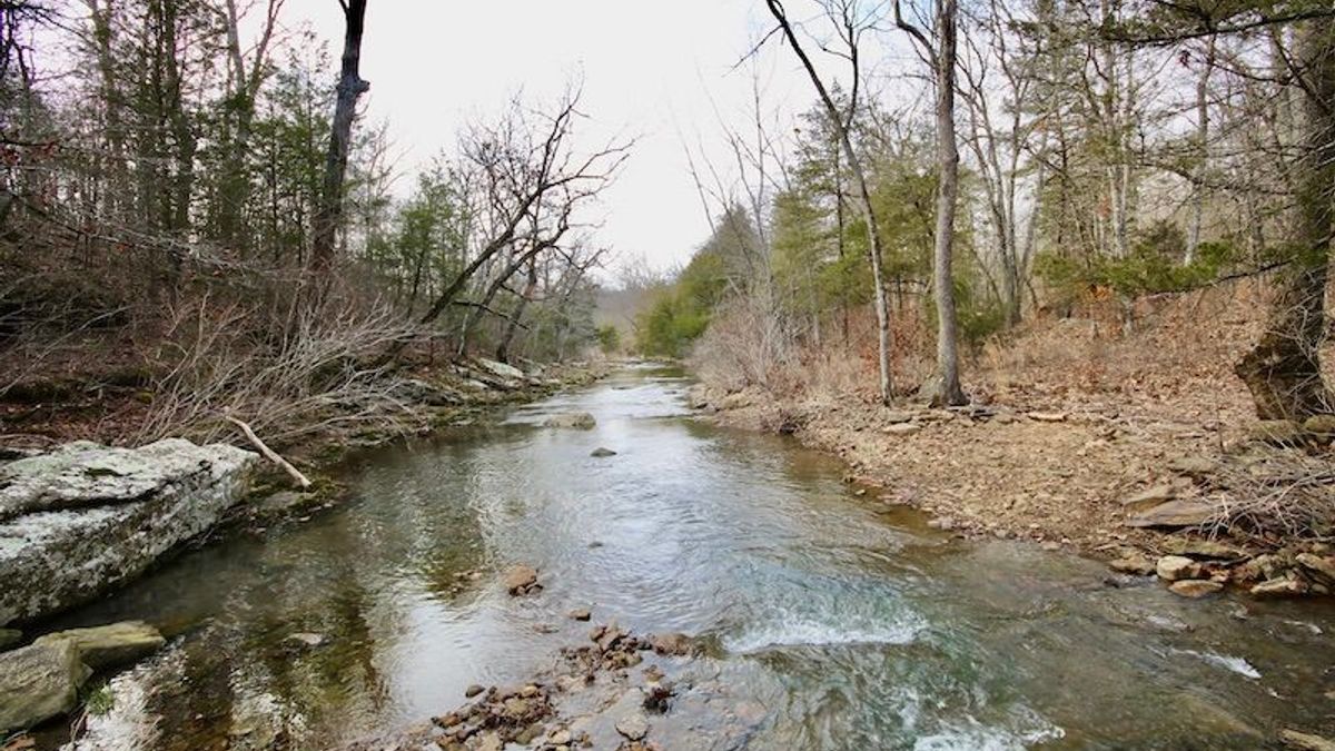 Spectacular Recreational And Hunting Property With Evansville Creek