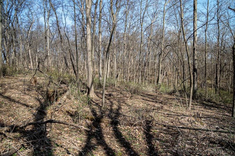 Jo Daviess IL 23.5_21