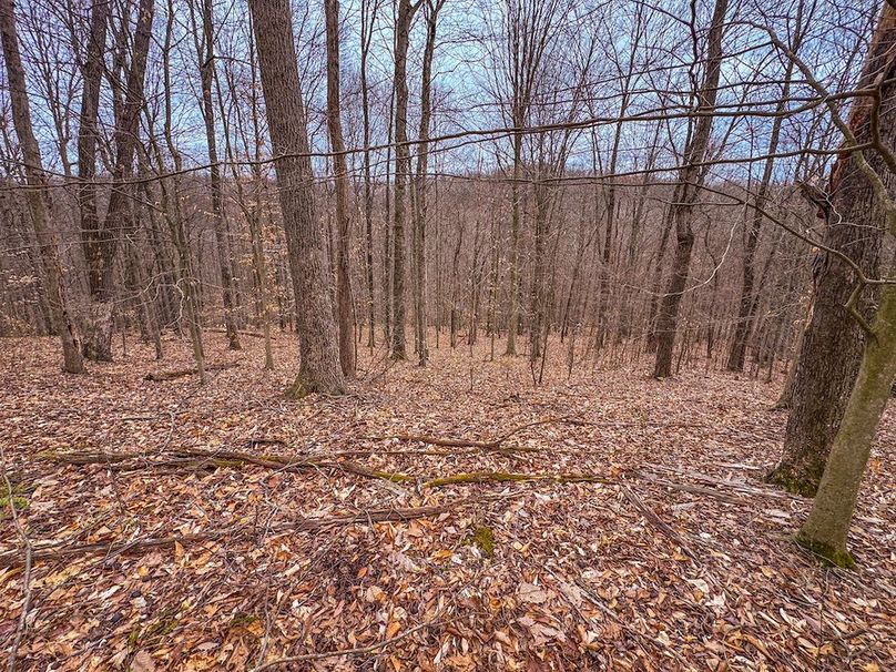 Tyler, WV 90 AC Burkhart-44