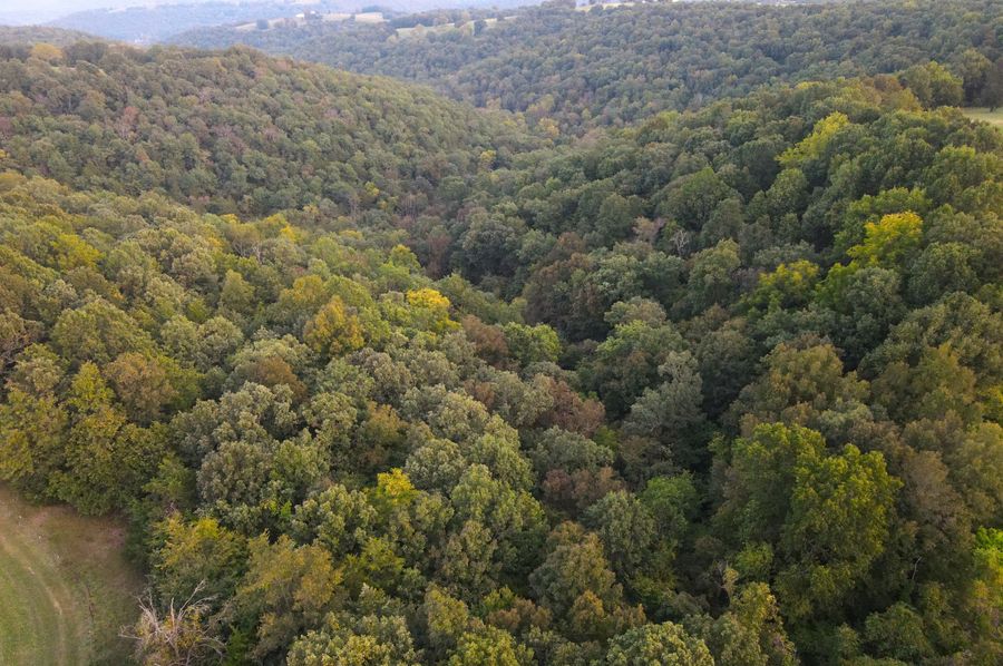 DJI_0851