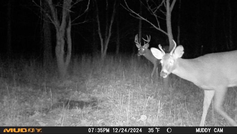 Image 12-28-24 at 6.30 PM 2