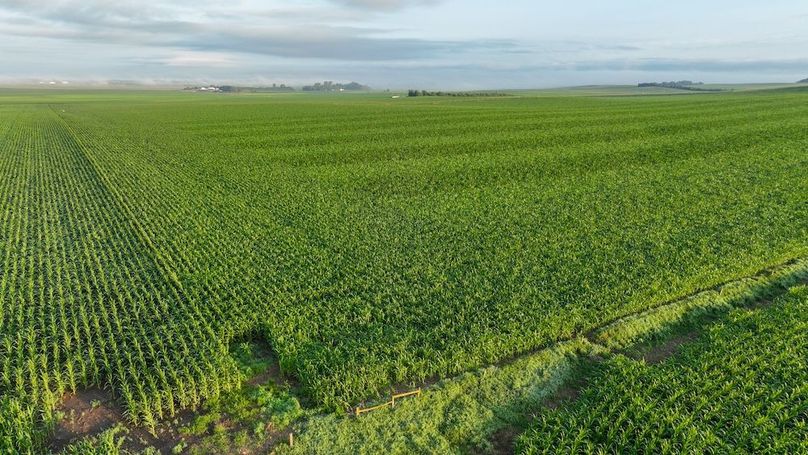 Copy of Copy of DJI_0372