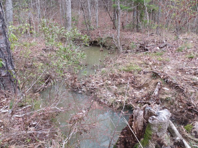 6538A909-CB54-44C5-8A02-1ED4A81C89DB