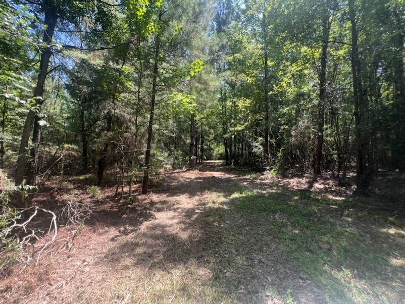 98241186-EC59-44C3-B2F1-530E8F2B62DC_1_105_c