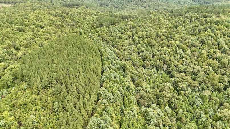 DJI_20250820164417_0078_D