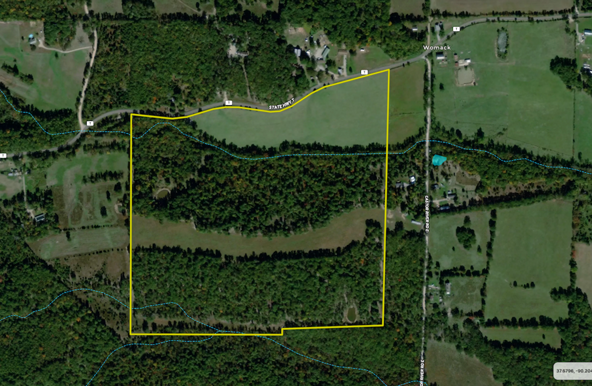 Screenshot 2024-09-19 at 9.59.33 AM