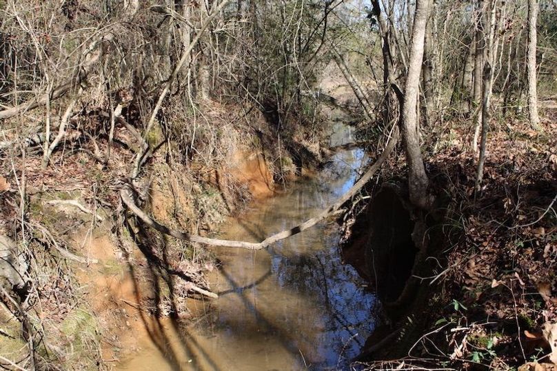 77F09B13-460F-4C9D-92ED-F2B8F2D046B1_1_105_c