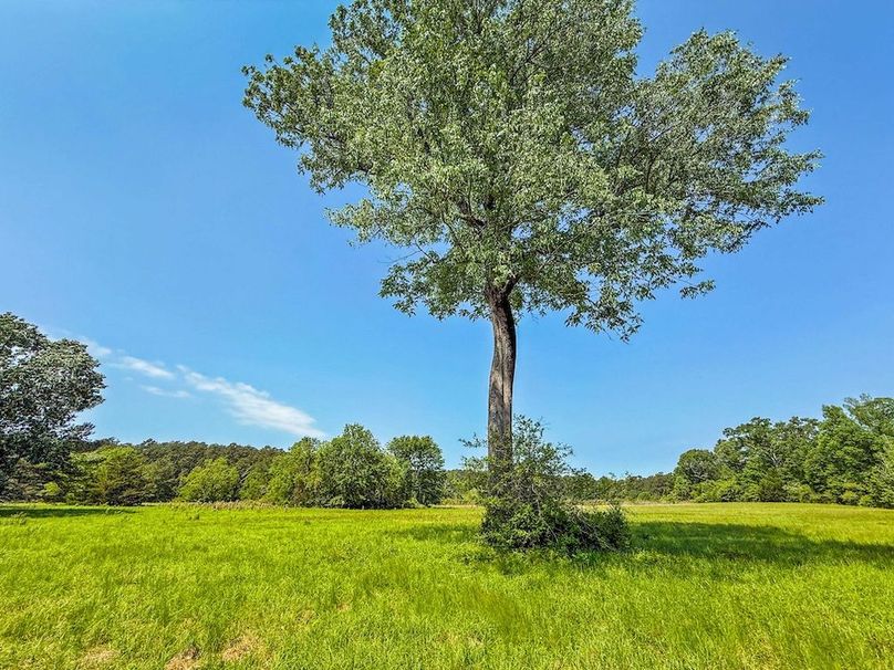 Copy of untitled-5-2