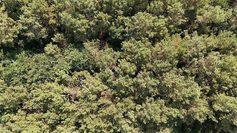 DJI_20250627094641_0092_D