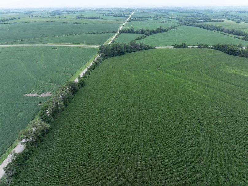 Copy of DJI_20250720134620_0082_D